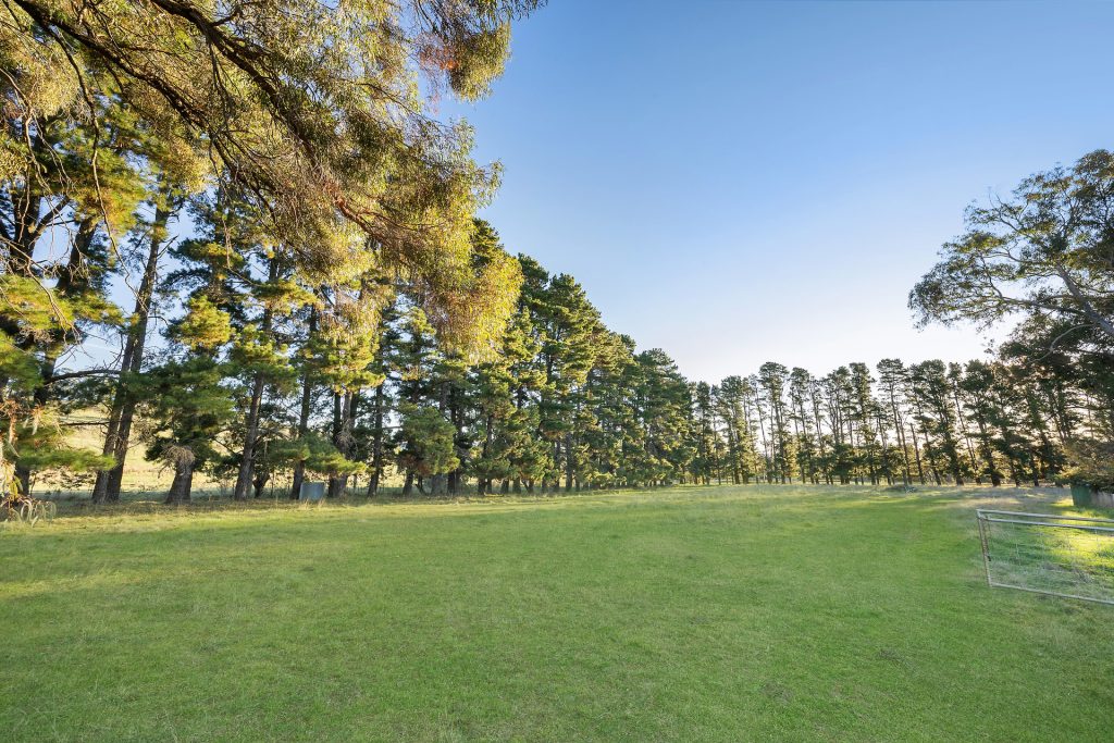 Sold - 135 Wrights Lane - New Property in Orange - Real Estate by Jack Aumuller