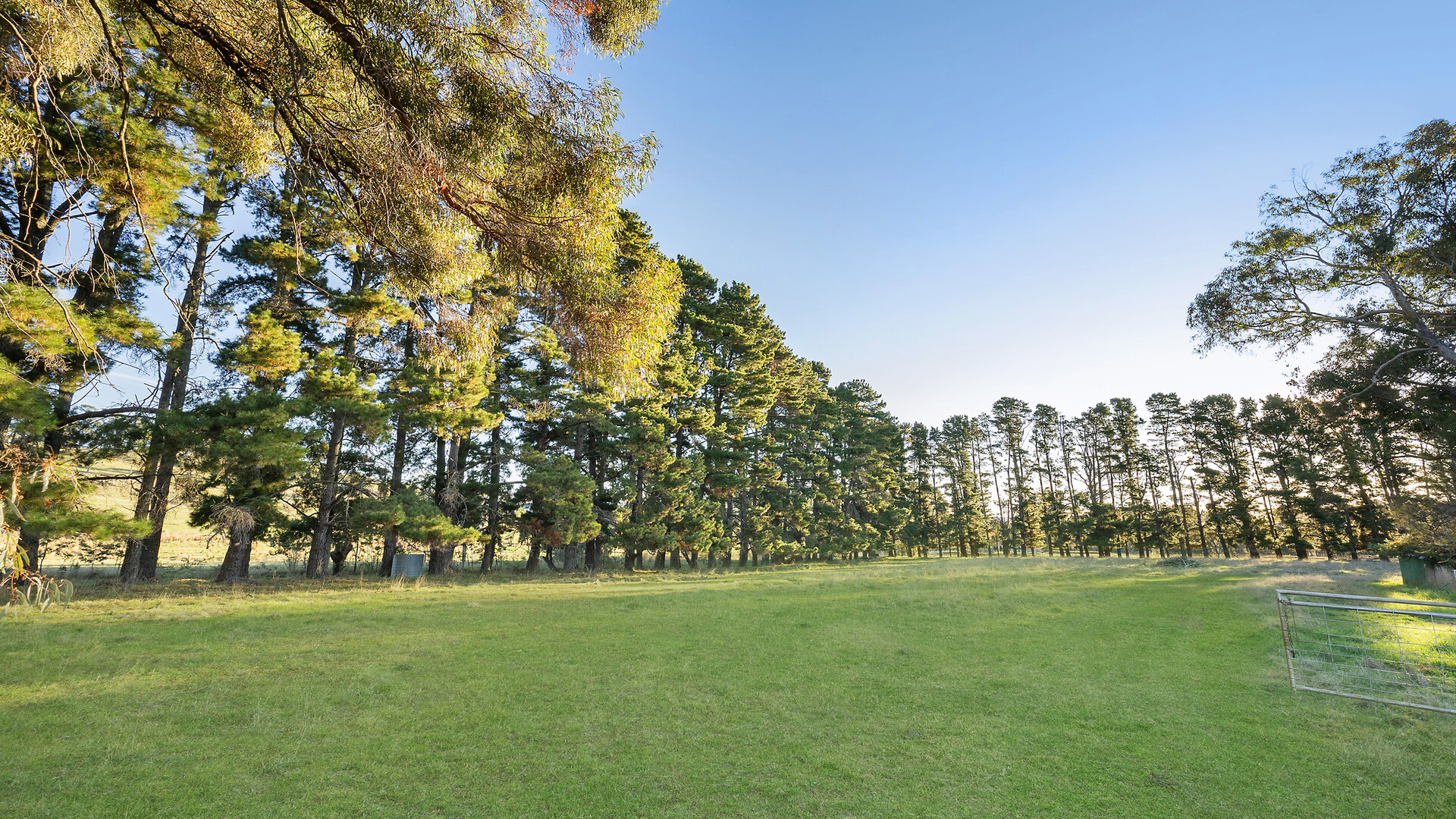 Sold - 135 Wrights Lane - New Property in Orange - Real Estate by Jack Aumuller