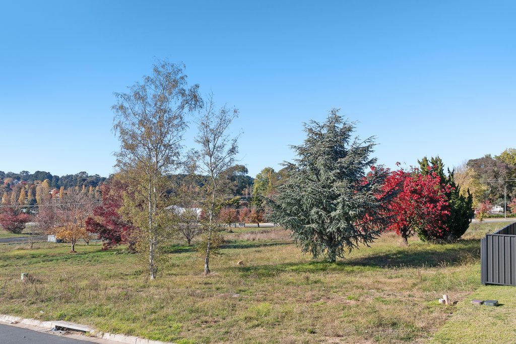 7 Georgia Oak Avenue, Orange NSW 2800 - photo 7