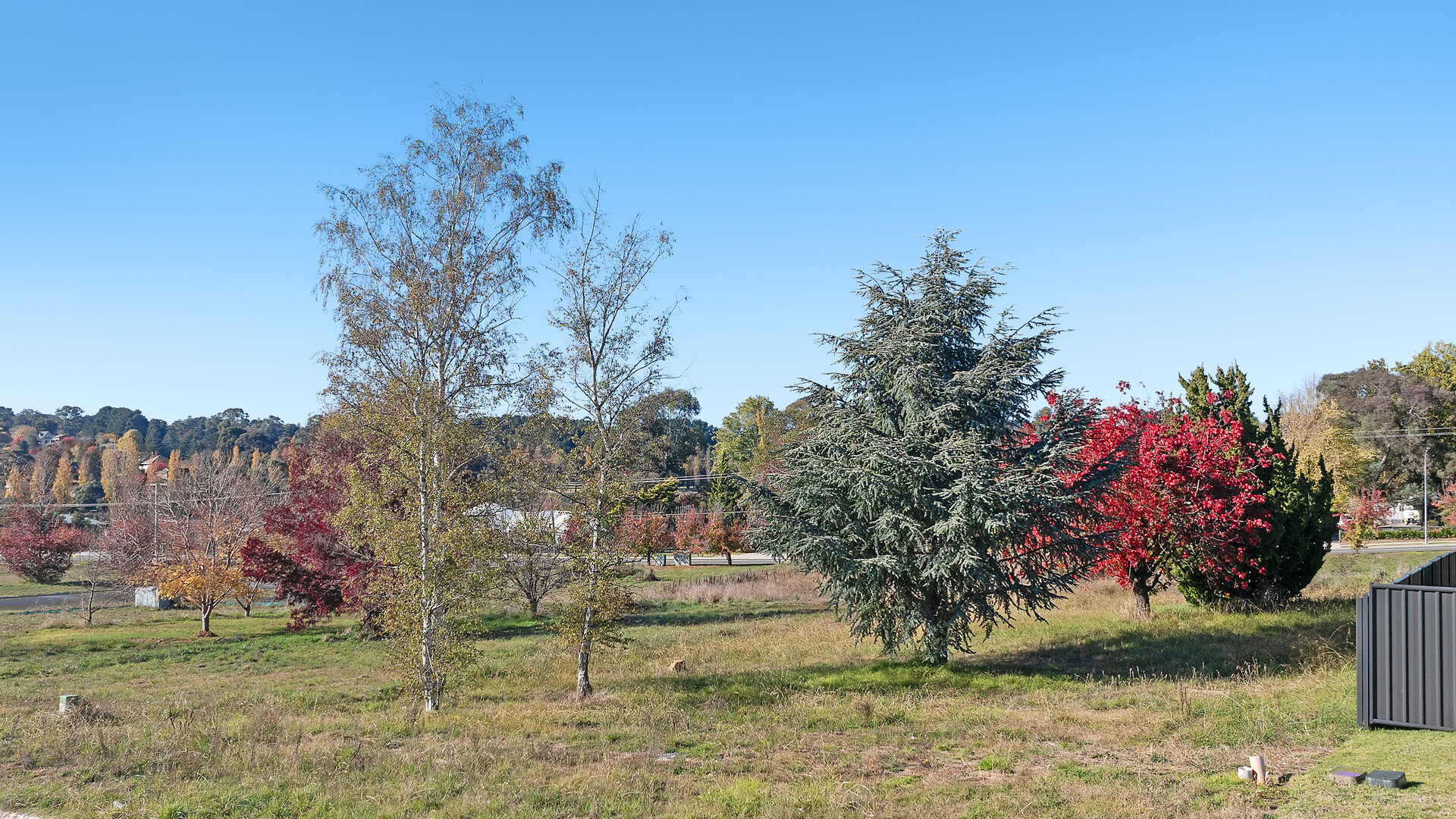 7 Georgia Oak Avenue, Orange NSW 2800 - photo 7