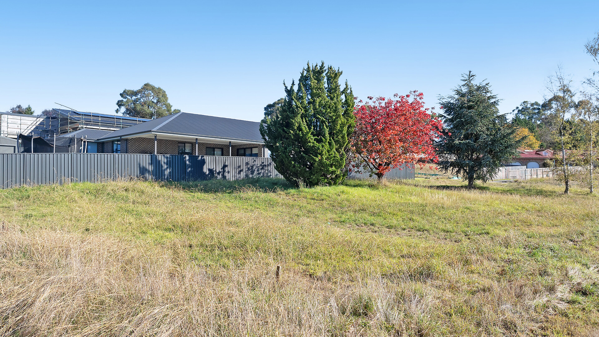 7 Georgia Oak Avenue, Orange NSW 2800 - photo 10