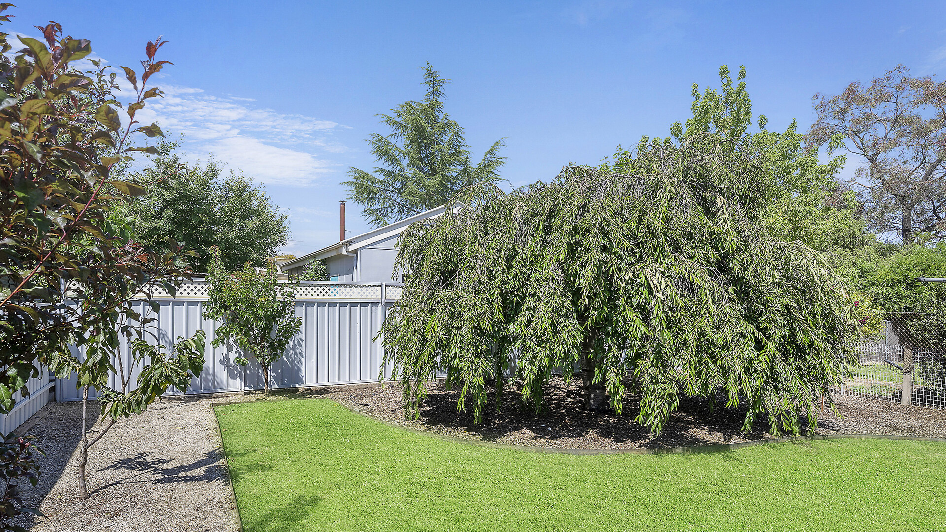 50 Prince Street, Orange NSW 2800 - photo 24