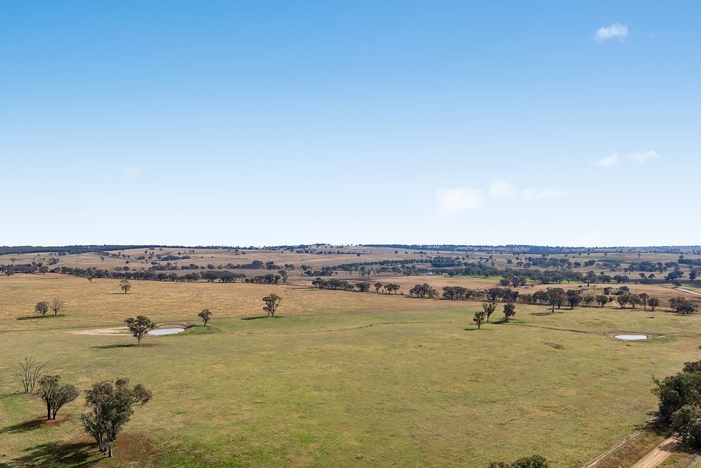 128 Norah Creek Road, Molong NSW 2866 - photo 2