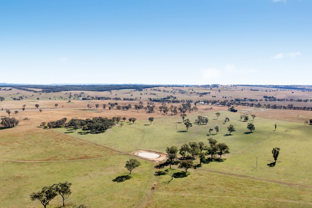 128 Norah Creek Road, Molong NSW 2866 - photo 11