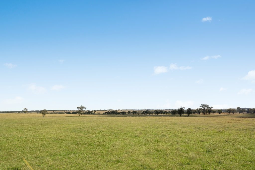 128 Norah Creek Road, Molong NSW 2866 - photo 16
