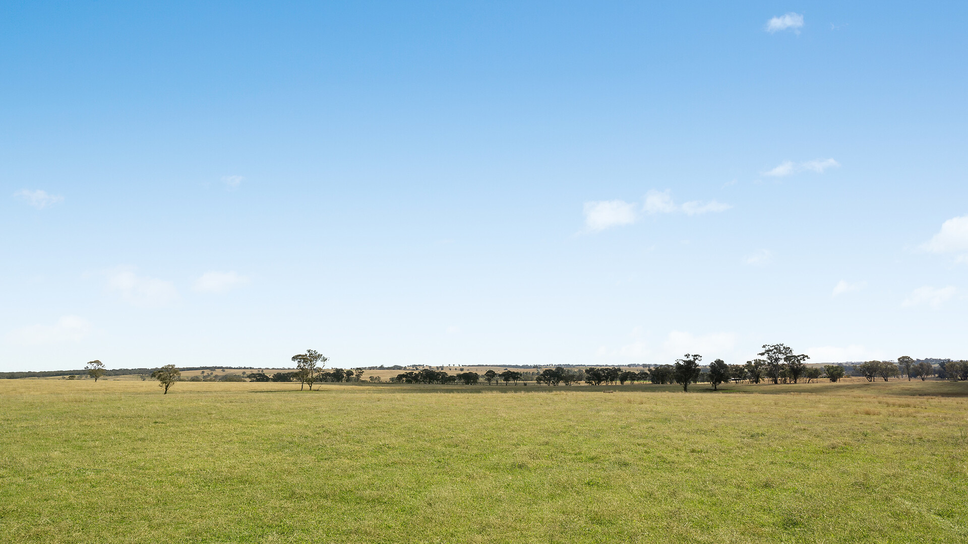 128 Norah Creek Road, Molong NSW 2866 - photo 16