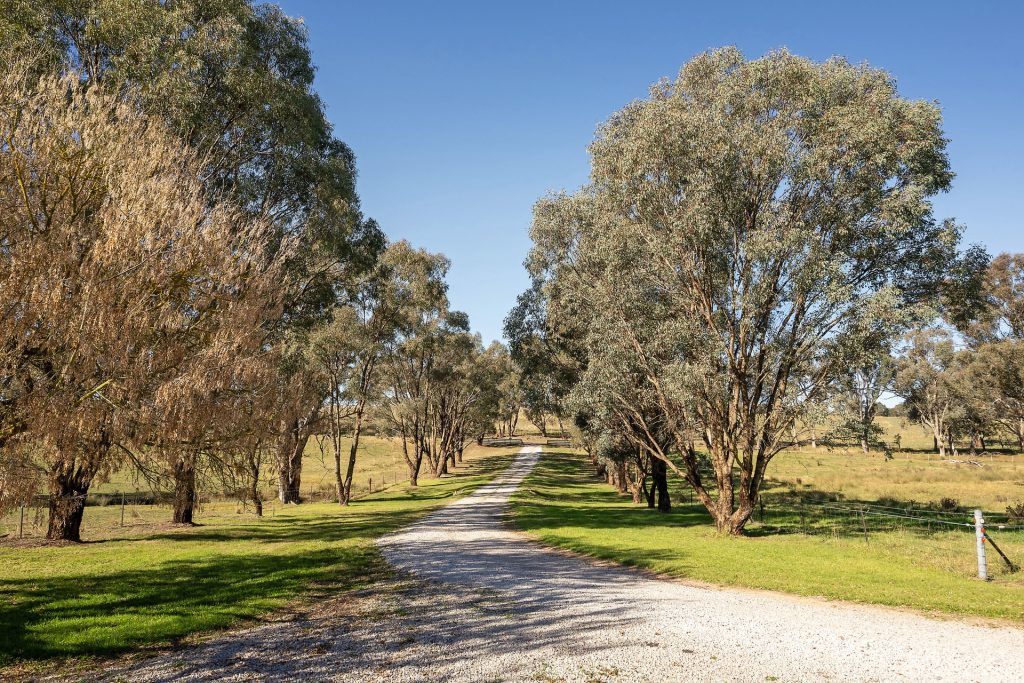 128 Norah Creek Road, Molong NSW 2866 - photo 17