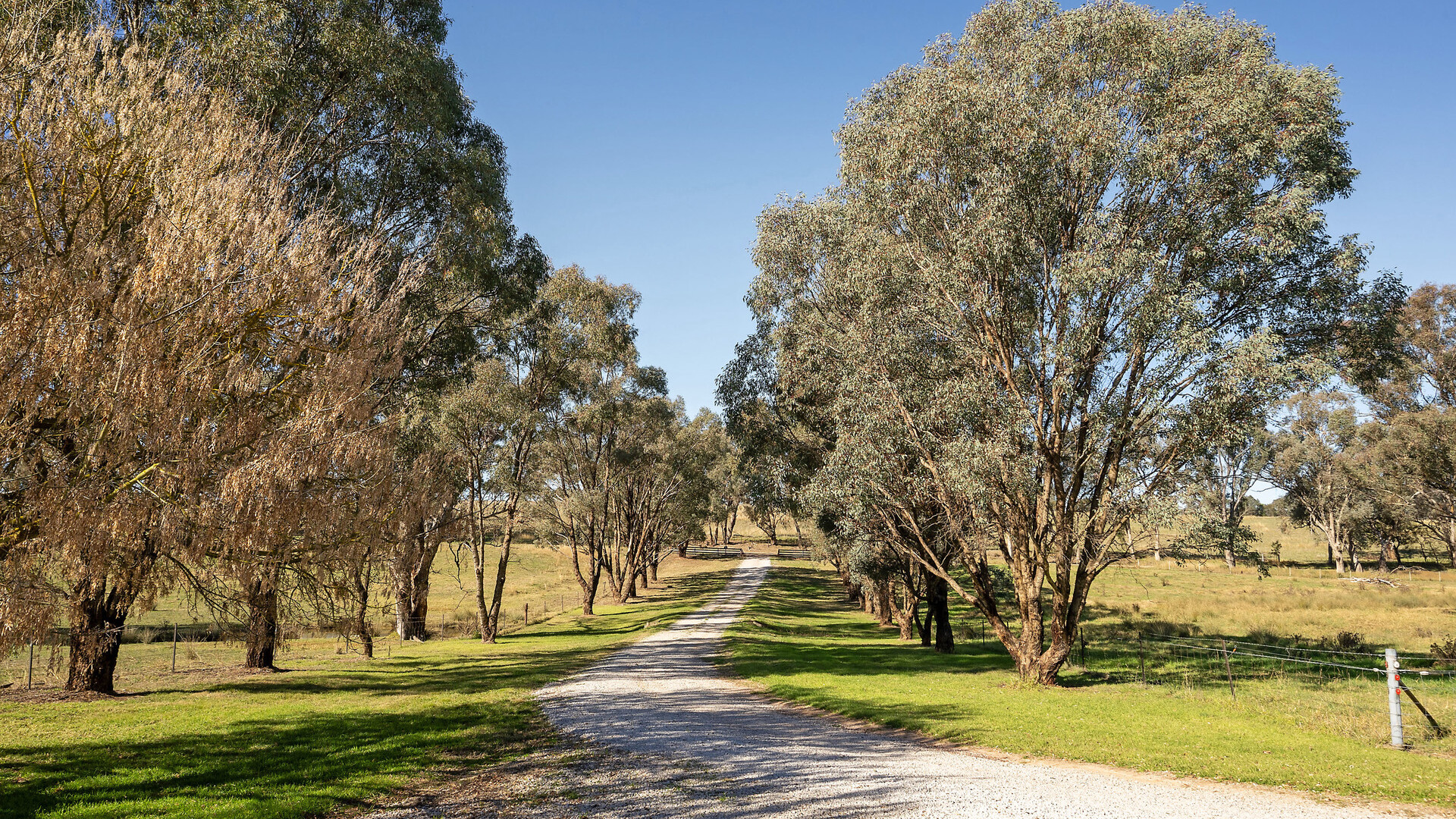128 Norah Creek Road, Molong NSW 2866 - photo 17