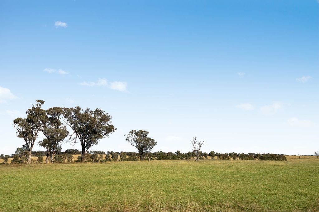 128 Norah Creek Road, Molong NSW 2866 - photo 18