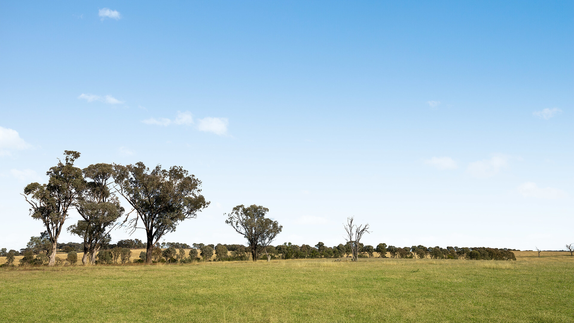 128 Norah Creek Road, Molong NSW 2866 - photo 18