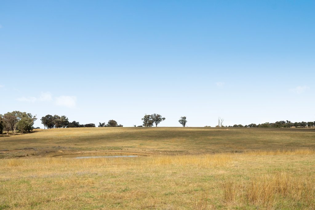 128 Norah Creek Road, Molong NSW 2866 - photo 19