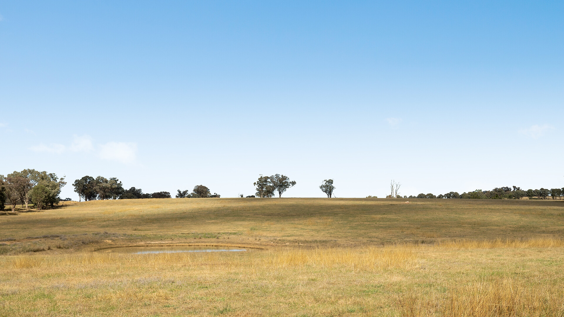 128 Norah Creek Road, Molong NSW 2866 - photo 19