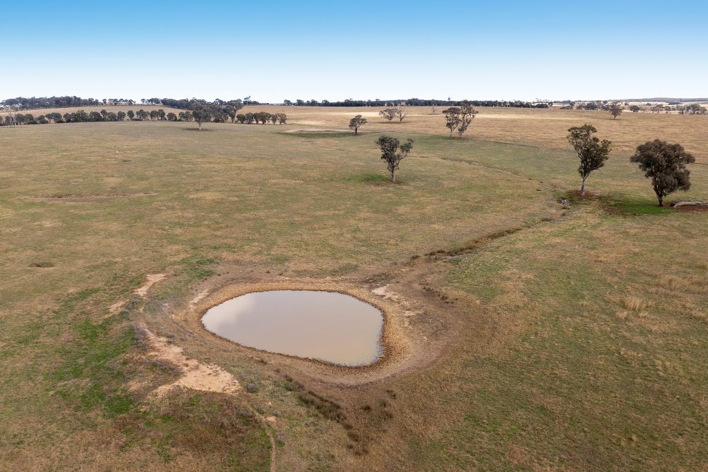 128 Norah Creek Road, Molong NSW 2866 - photo 7