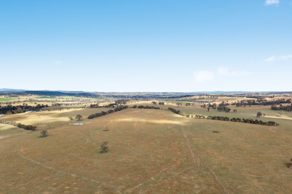 128 Norah Creek Road, Molong NSW 2866 - photo 8