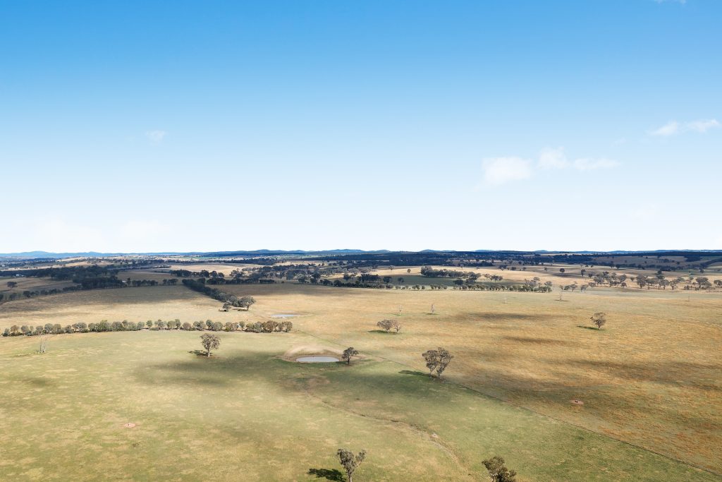 128 Norah Creek Road, Molong NSW 2866 - photo 9