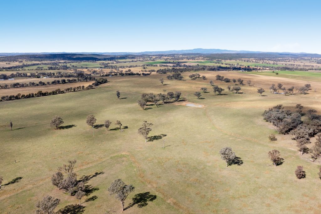 128 Norah Creek Road, Molong NSW 2866 - photo 10