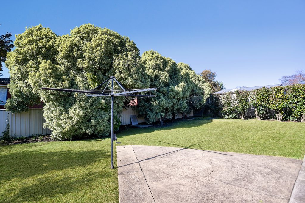 46 Anson Street, Orange NSW 2800 - photo 11