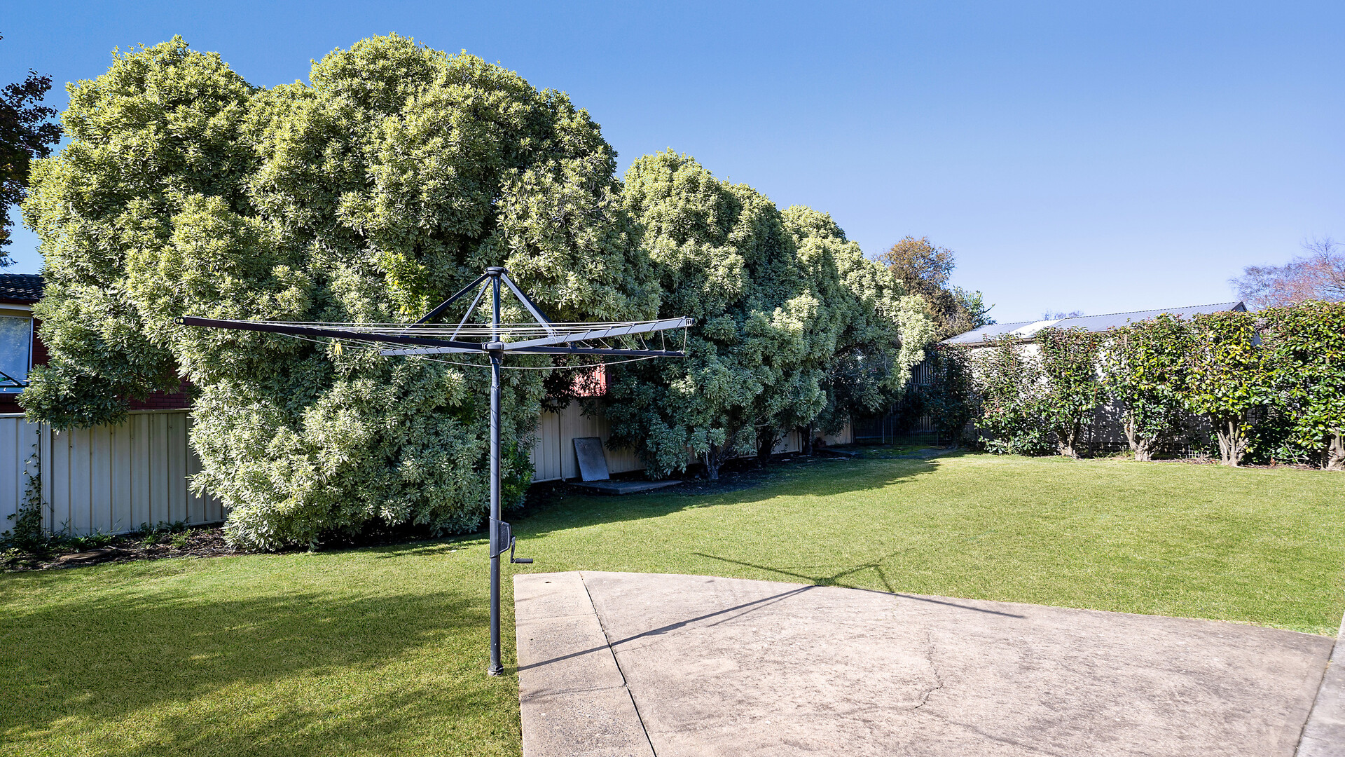 46 Anson Street, Orange NSW 2800 - photo 11