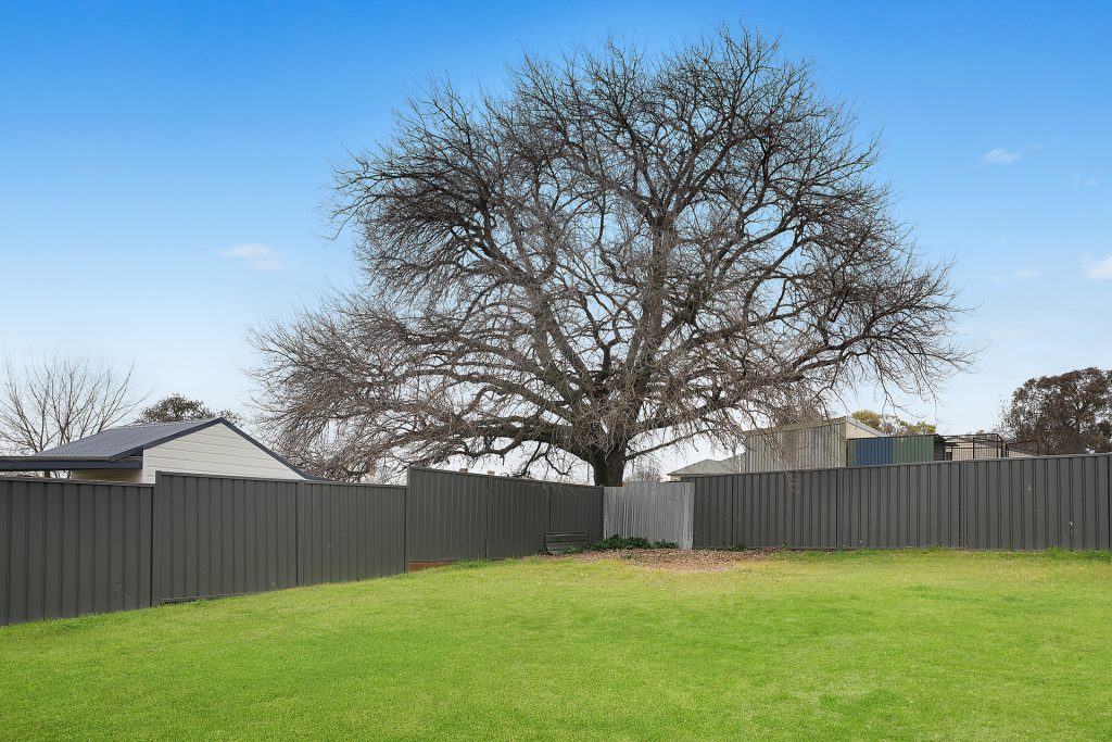 18-20 Riddell Street, Molong NSW 2866 - photo 8