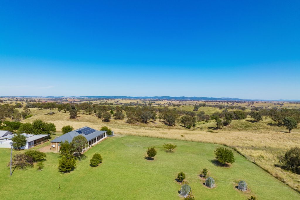 681 Burgoon Lane, Molong NSW 2866 - photo 19