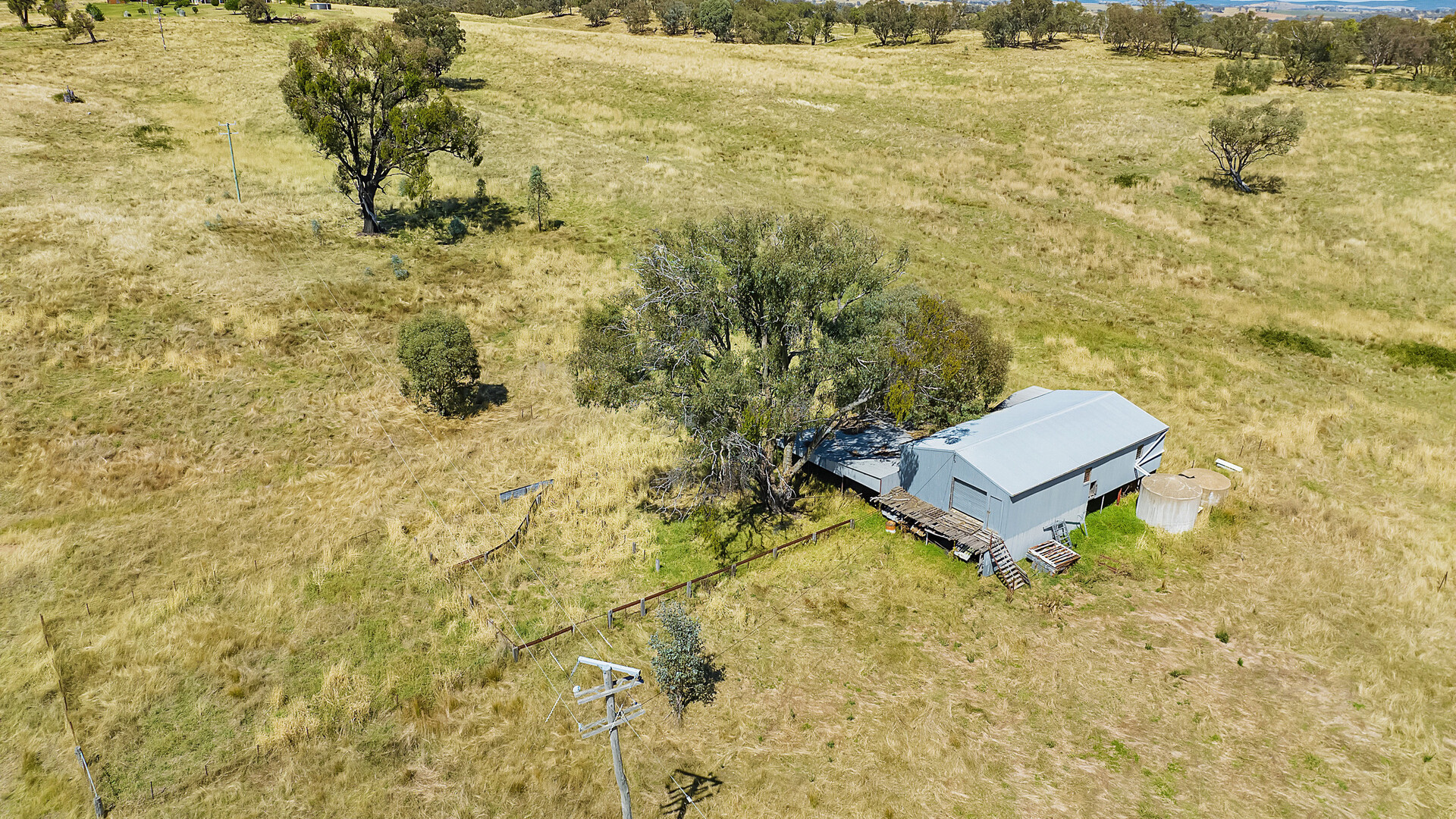 681 Burgoon Lane, Molong NSW 2866 - photo 21