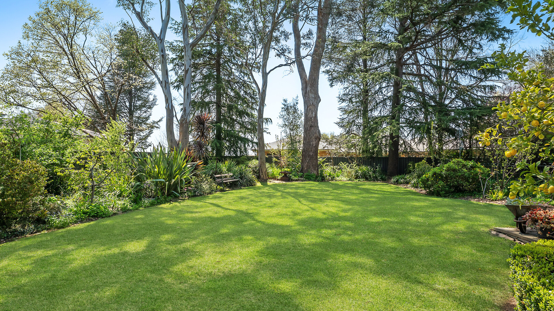 Sold - 74 Forbes Road - New Property in Orange - Real Estate by Scott Petersen