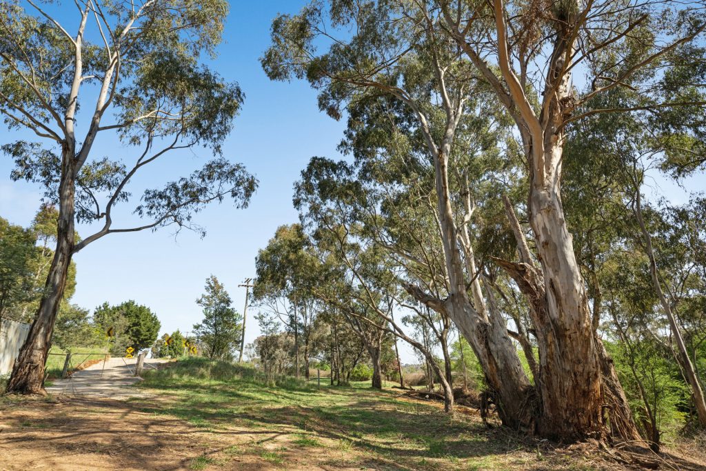 Sold - 15 Woods Lane - New Property in Orange - Real Estate by Scott Petersen