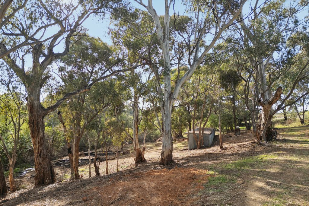 Sold - 15 Woods Lane - New Property in Orange - Real Estate by Scott Petersen