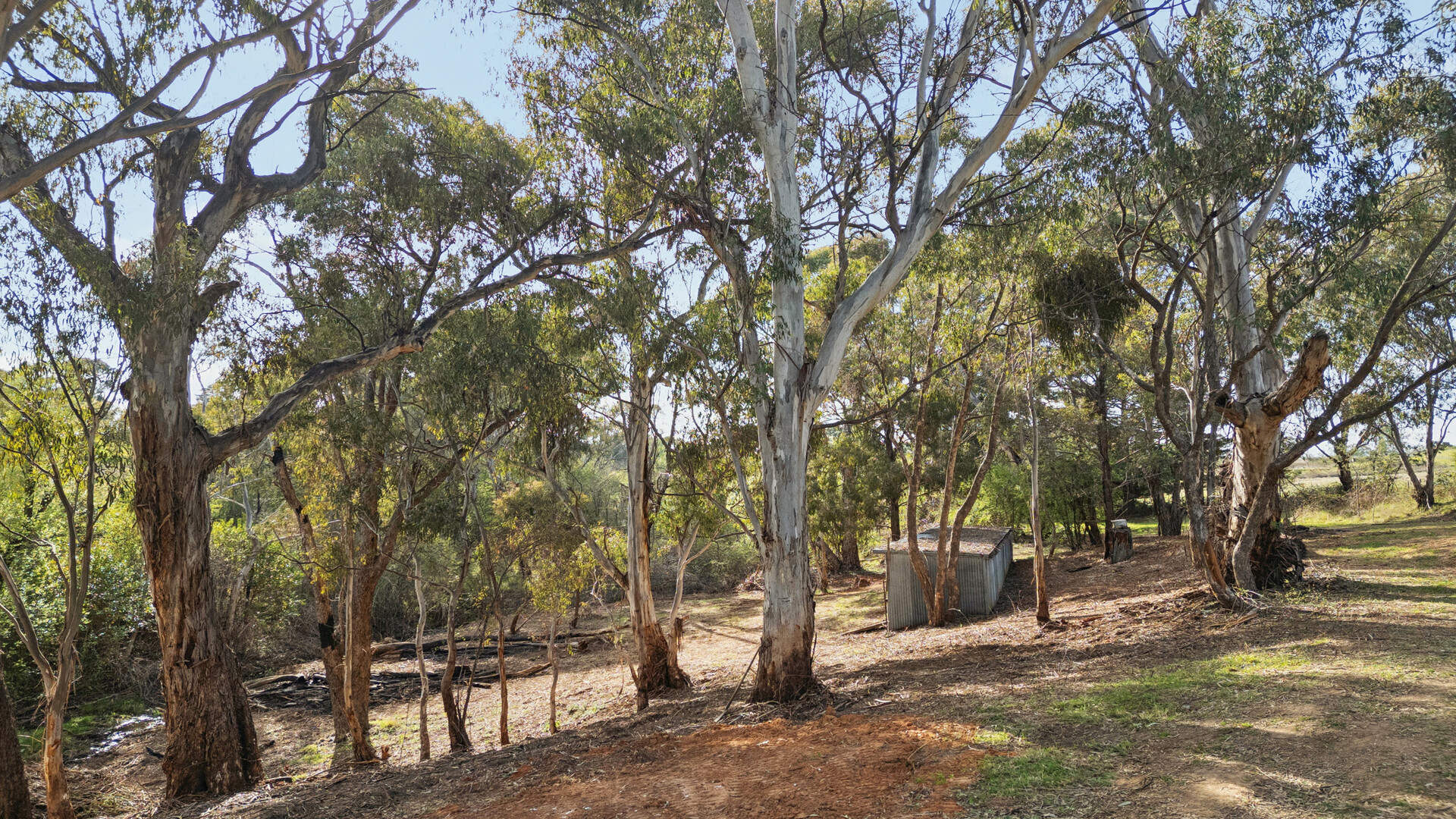 Sold - 15 Woods Lane - New Property in Orange - Real Estate by Scott Petersen