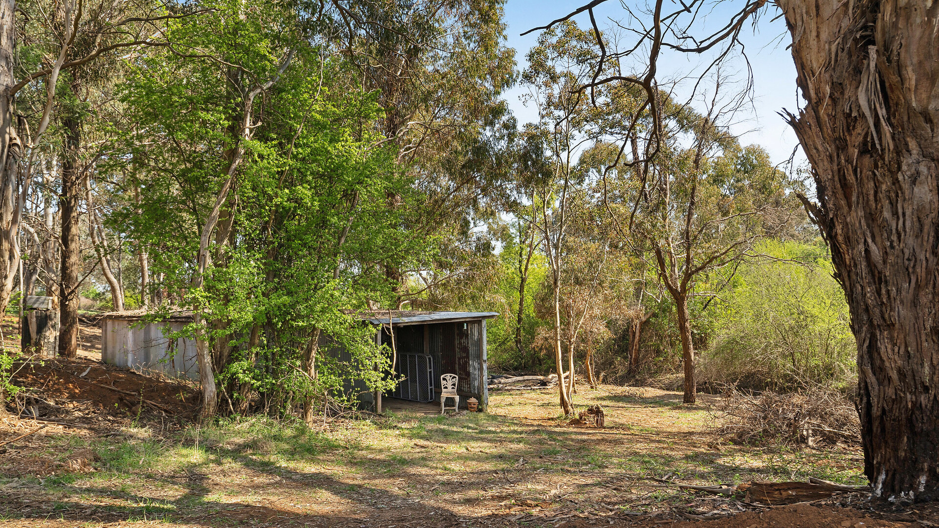 Sold - 15 Woods Lane - New Property in Orange - Real Estate by Scott Petersen