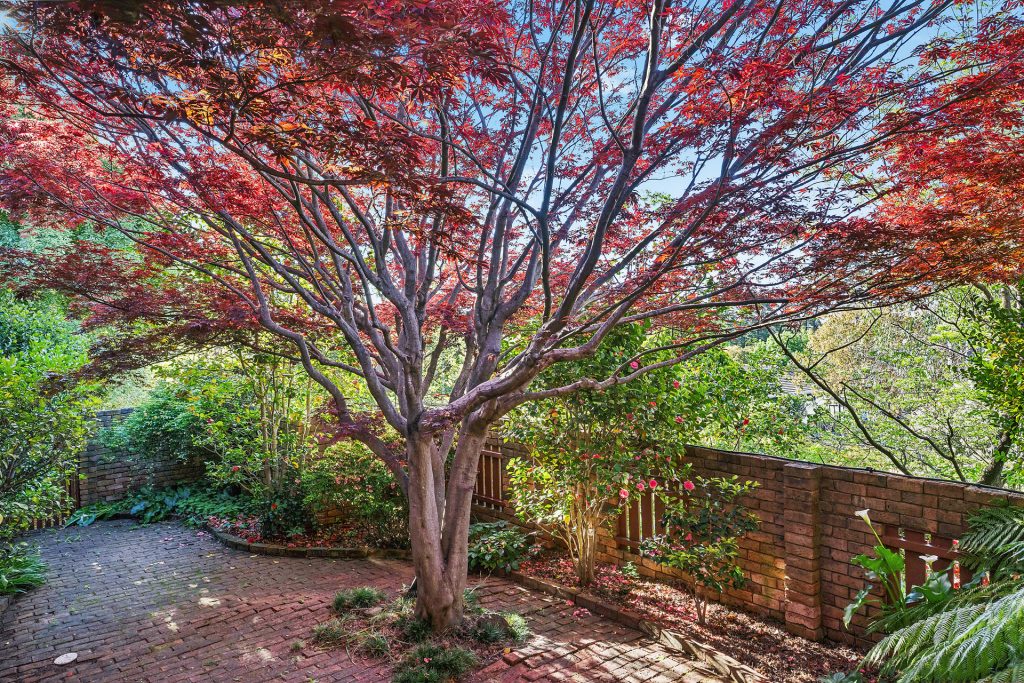9 Thoopara Place, Orange NSW 2800 - photo 20