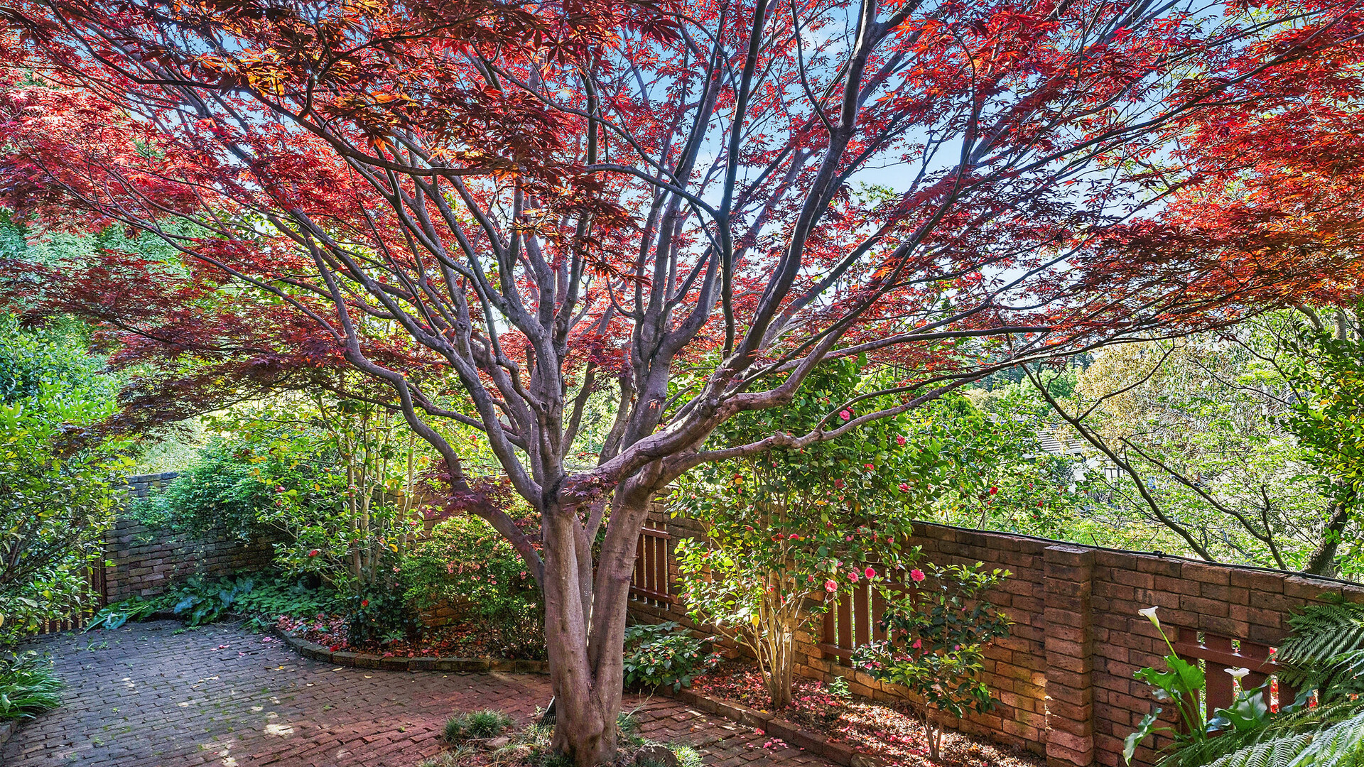 9 Thoopara Place, Orange NSW 2800 - photo 20