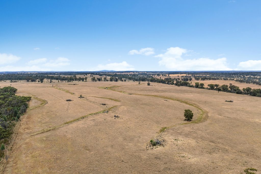 Sold - 151 Numalla Road - New Property in Trundle - Real Estate by Scott Petersen