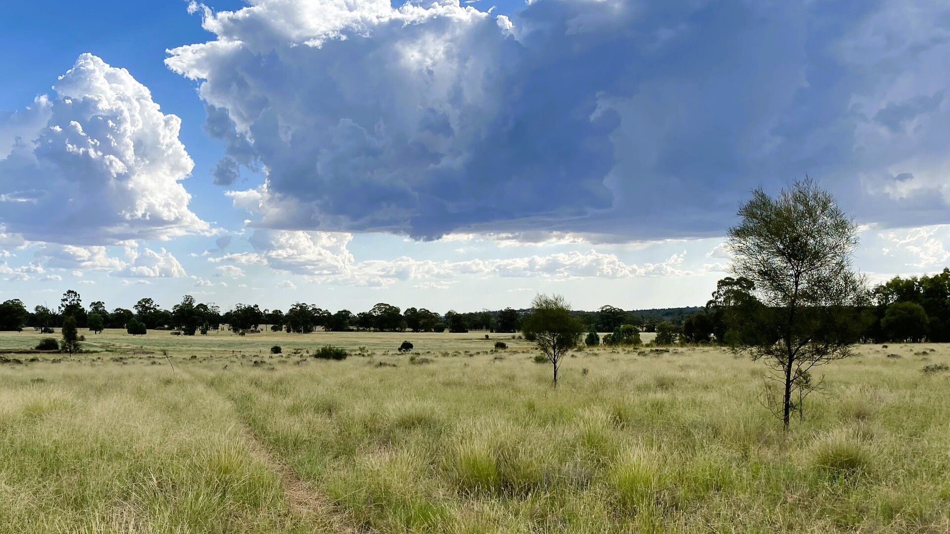 Sold - 151 Numalla Road - New Property in Trundle - Real Estate by Scott Petersen