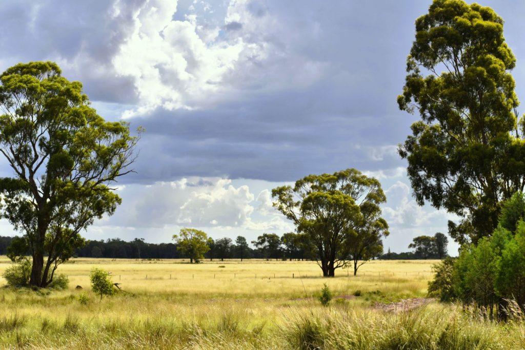 Sold - 151 Numalla Road - New Property in Trundle - Real Estate by Scott Petersen
