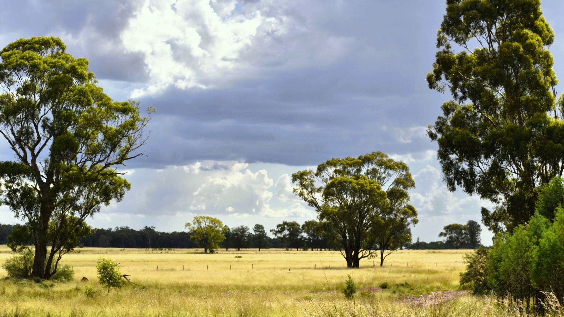 Sold - 151 Numalla Road - New Property in Trundle - Real Estate by Scott Petersen