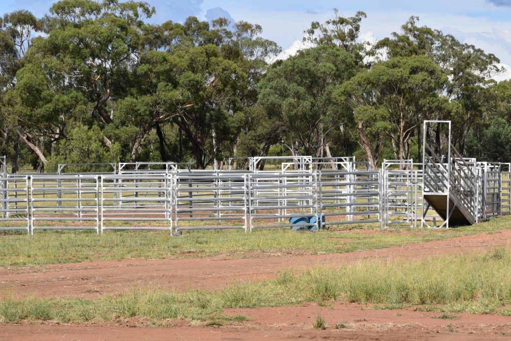 Sold - 151 Numalla Road - New Property in Trundle - Real Estate by Scott Petersen