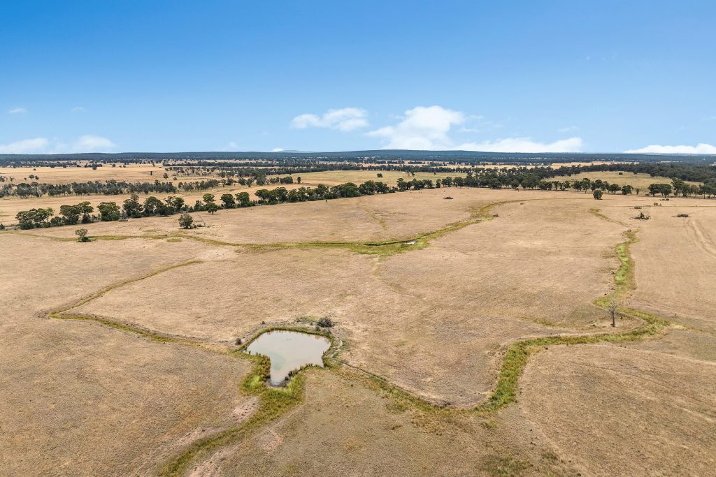 Sold - 151 Numalla Road - New Property in Trundle - Real Estate by Scott Petersen