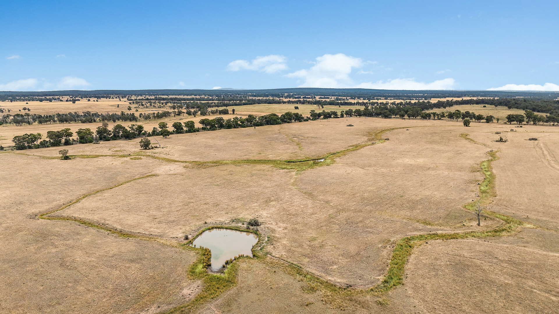 Sold - 151 Numalla Road - New Property in Trundle - Real Estate by Scott Petersen