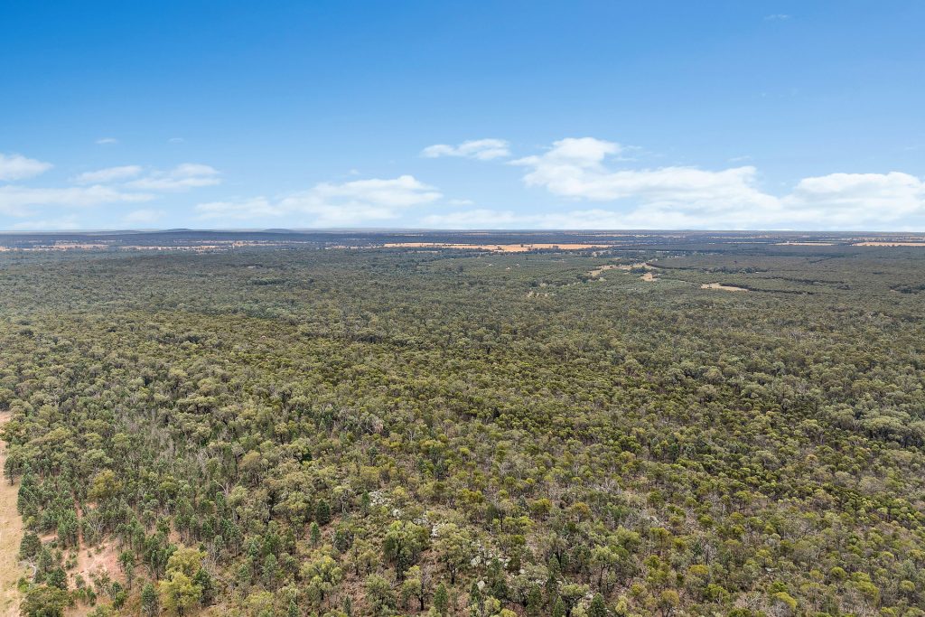 Sold - 151 Numalla Road - New Property in Trundle - Real Estate by Scott Petersen