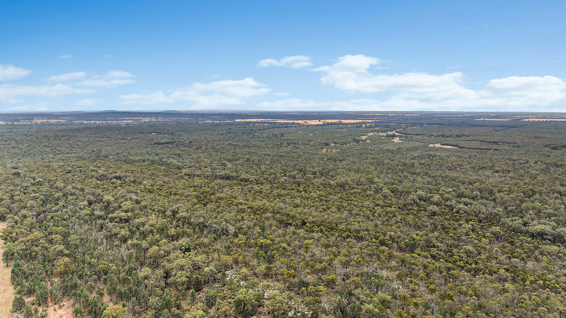 Sold - 151 Numalla Road - New Property in Trundle - Real Estate by Scott Petersen