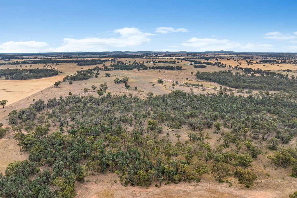 Sold - 151 Numalla Road - New Property in Trundle - Real Estate by Scott Petersen