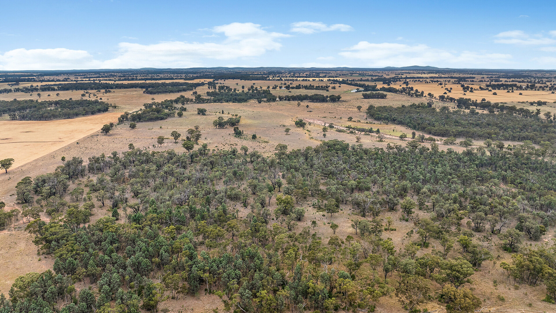 Sold - 151 Numalla Road - New Property in Trundle - Real Estate by Scott Petersen