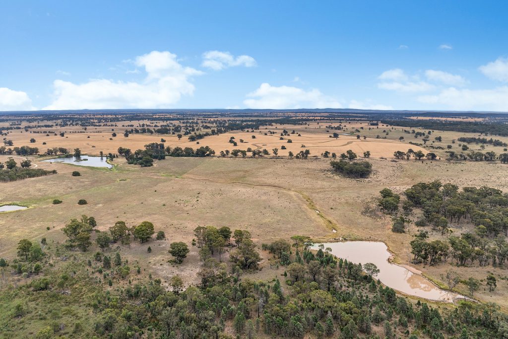 Sold - 151 Numalla Road - New Property in Trundle - Real Estate by Scott Petersen
