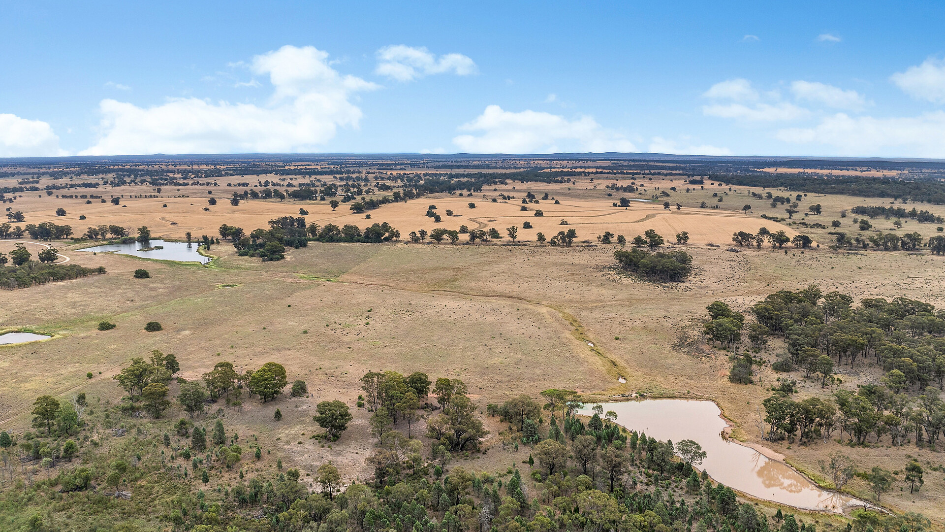 Sold - 151 Numalla Road - New Property in Trundle - Real Estate by Scott Petersen