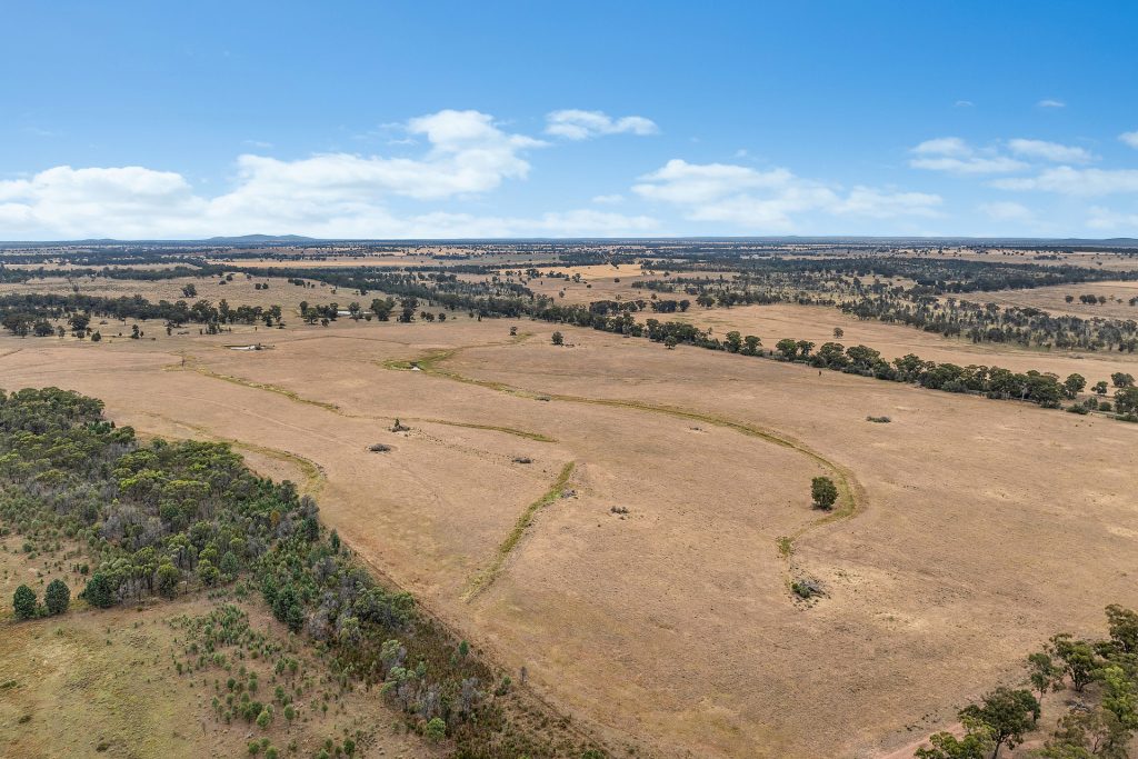 Sold - 151 Numalla Road - New Property in Trundle - Real Estate by Scott Petersen