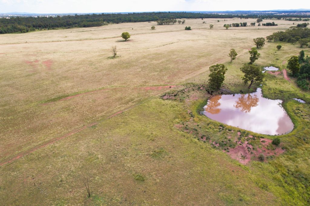 Sold - 151 Numalla Road - New Property in Trundle - Real Estate by Scott Petersen