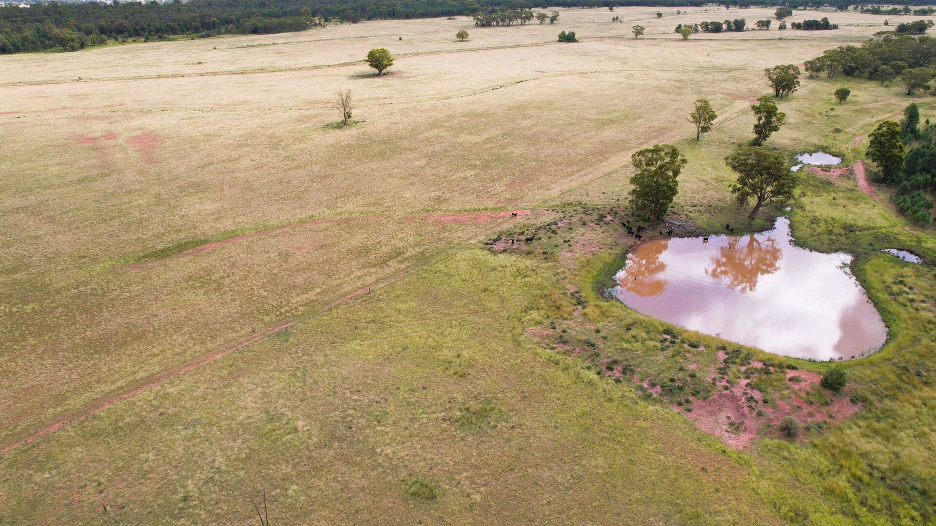 Sold - 151 Numalla Road - New Property in Trundle - Real Estate by Scott Petersen