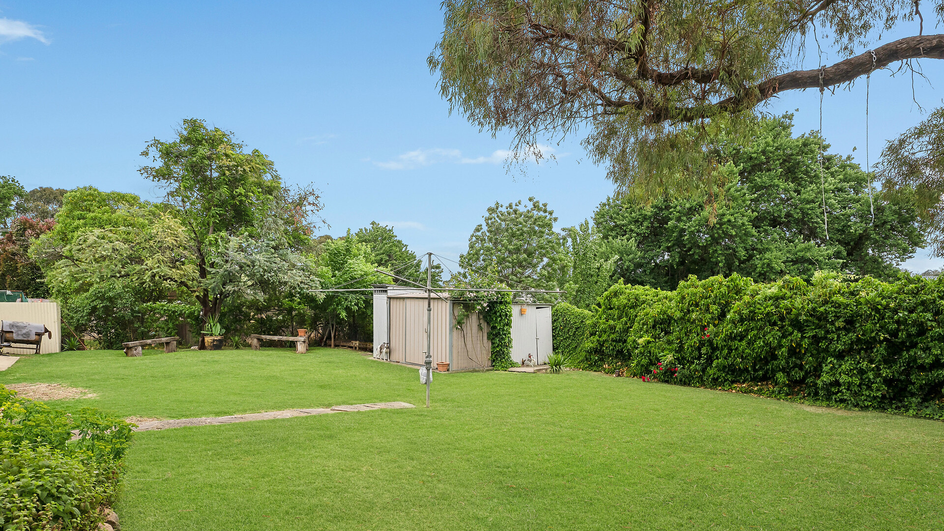 56 Gidley Street, Molong NSW 2866 - photo 7