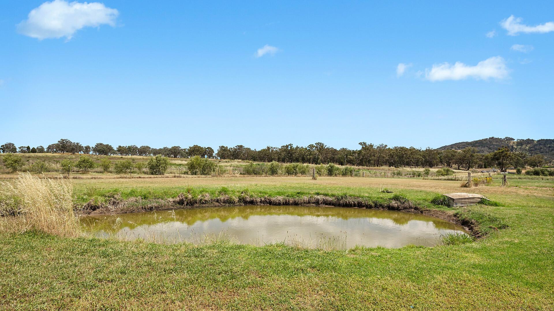 Sold - 5145 Henry Parkes Way - New Property in Manildra - Real Estate by Jodi Murray